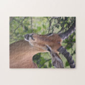 Impala Wildlife Jigsaw Puzzle (Horizontal)