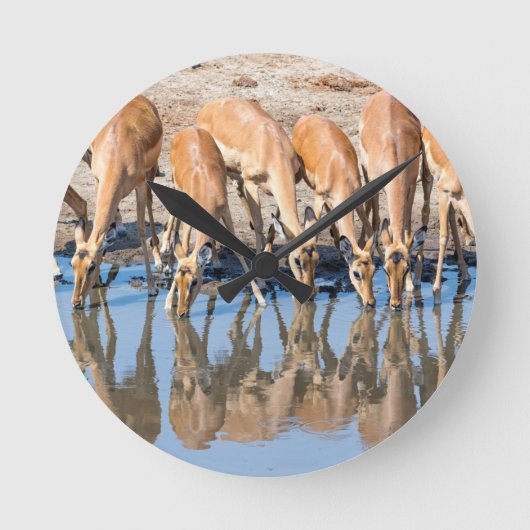 Impalas am Waterhole Runde Wanduhr (Vorderseite)