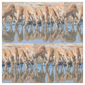 Impalas am Waterhole Stoff (Nahaufnahme)