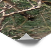 Impalas auf dem Serengeti - Drucken Poster (Ecke)