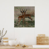 Impalas auf dem Serengeti - Drucken Poster (Küche)