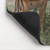 Impalas auf der Serengeti Mousepad (Ecke)