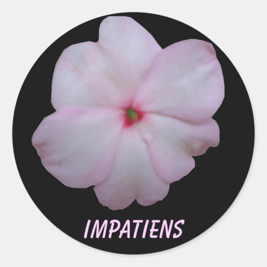 Impatiens anpassbarer Aufkleber (Vorderseite)