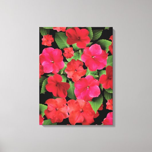 Impatiens Blume Fotografie Leinwanddruck (Vorderseite)