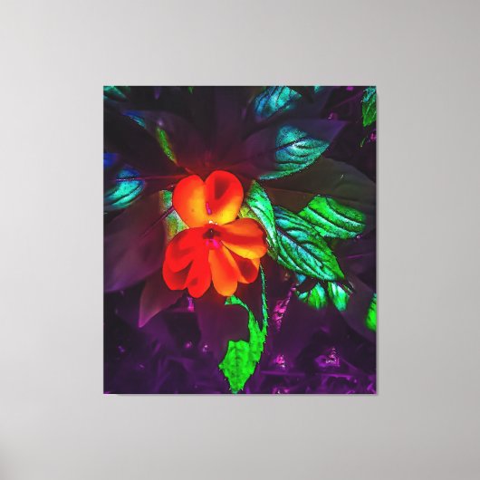 Impatiens-Blume Leinwanddruck (Vorderseite)
