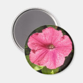 Impatiens Dark Pink Magnet (Vorderseite/Rückseite)