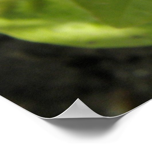 Impatiens Dark Pink Print Poster (Ecke)