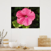 Impatiens Dark Pink Print Poster (Küche)