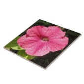 Impatiens Dark Pink Tile Fliese (Seite)