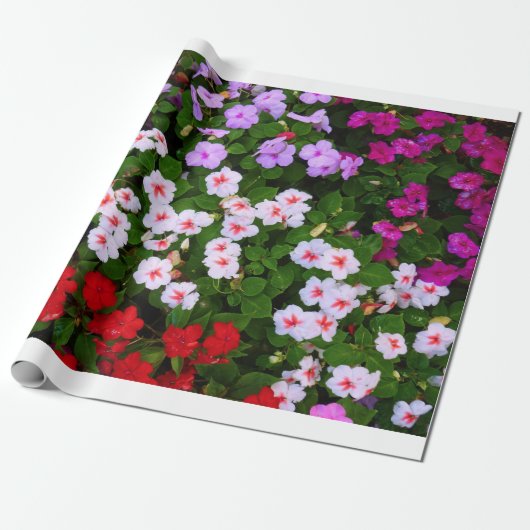 Impatiens Geschenkpapier (Ungerollt)