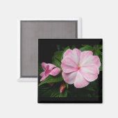 Impatiens Pink White Magnet (Vorderseite/Rückseite)