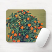 Impatiens, Rotglühen Rosa-Blumen Mousepad (Mit Mouse)