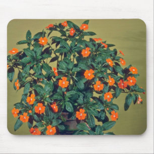Impatiens, Rotglühen Rosa-Blumen Mousepad