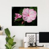 Impatienten Pink White Poster (Heimbüro)