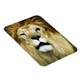 Imperfect King Magnet (Rechte Seite)