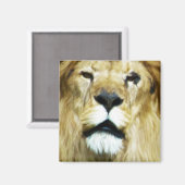 Imperfect King Magnet (Vorderseite/Rückseite)