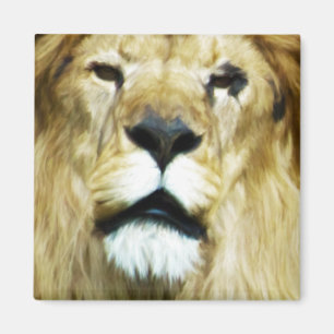 Imperfect King Magnet