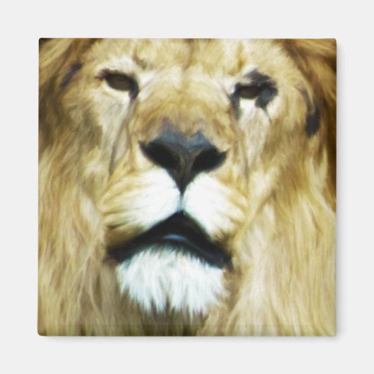 Imperfect King Magnet (Vorne)