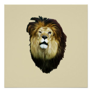 Imperfect King Poster