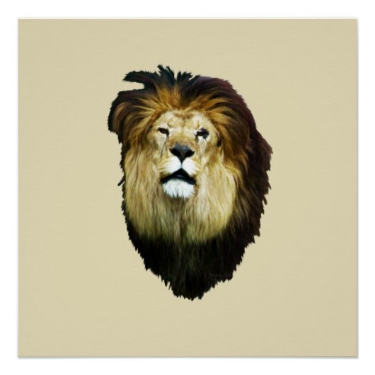 Imperfect King Poster (Vorderseite)