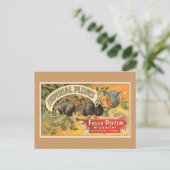 Imperial Plums Postkarte (Stehend Vorderseite)