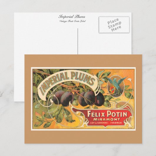 Imperial Plums Postkarte (Vorne/Hinten)