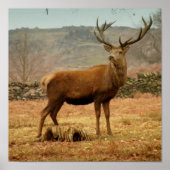 Imperial Stag Poster (Vorne)