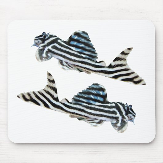 “Imperial Zebra Pleco”の優良製品 Mousepad (Vorne)