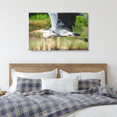 Imposanter Graureiher mit Schwingen Leinwanddruck (Insitu (Schlafzimmer))