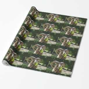 Imposanter Mufflon-Widder Geschenkpapier