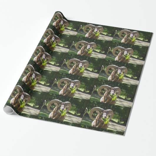Imposanter Mufflon-Widder Geschenkpapier (Ungerollt)