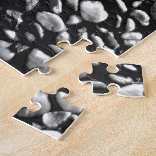 Impossible Black and White Pebbled Pavement Puzzle (Seite)
