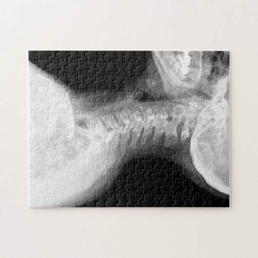 Impossipuzzle Puzzle (Horizontal)