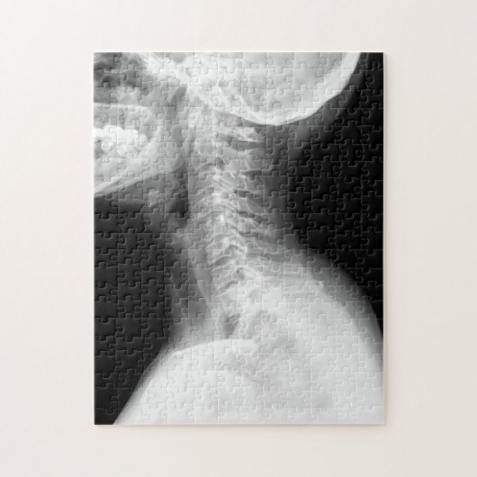 Impossipuzzle Puzzle (Vertikal)