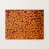 Impossipuzzle Puzzle (Horizontal)