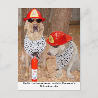 Imposter Postkarte