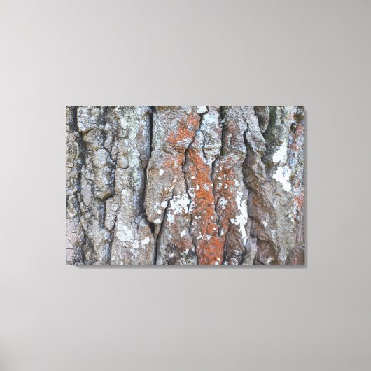 Impressão em Tela NATUREZA BRASIL Leinwanddruck (Vorderseite)