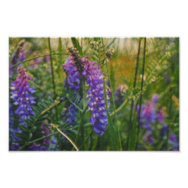 Impressionismus in der Arktis Fotodruck