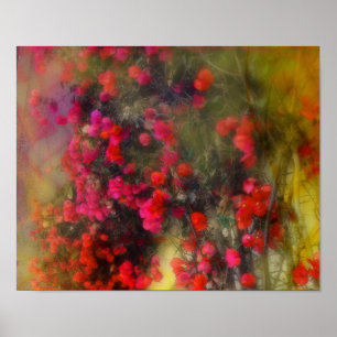 Impressionismus Red Bougainvillea Poster