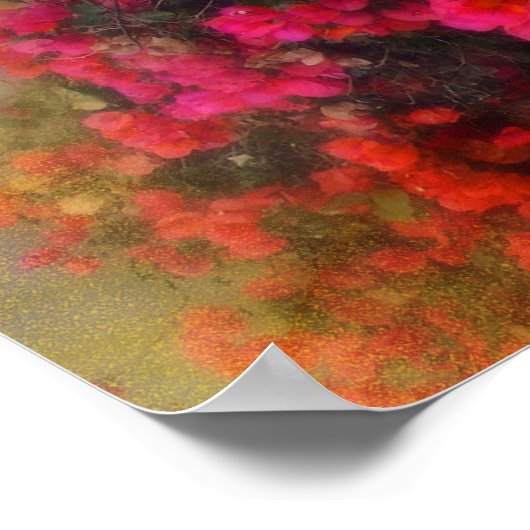 Impressionismus Red Bougainvillea Poster (Ecke)