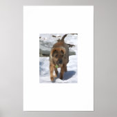 Impressionist Sharpei Poster (Vorne)