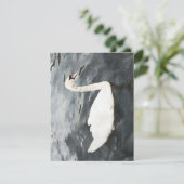 Impressionist Swan RSVP Karte (Stehend Vorderseite)