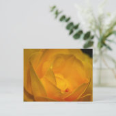 Impressionist Yellow Rose Petals Postkarte (Stehend Vorderseite)