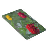 Impressionistisch Zinnia Magnet (Rechte Seite)