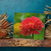 Impressionistisch Zinnia Plaque Fotoplatte (Seite)