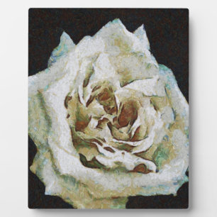 Impressionistische Rose Abgeschieden auf schwarz Fotoplatte