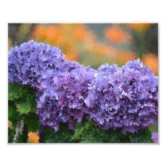 Impressionistisches Hydrangeas-Foto Print Fotodruck (Vorne)