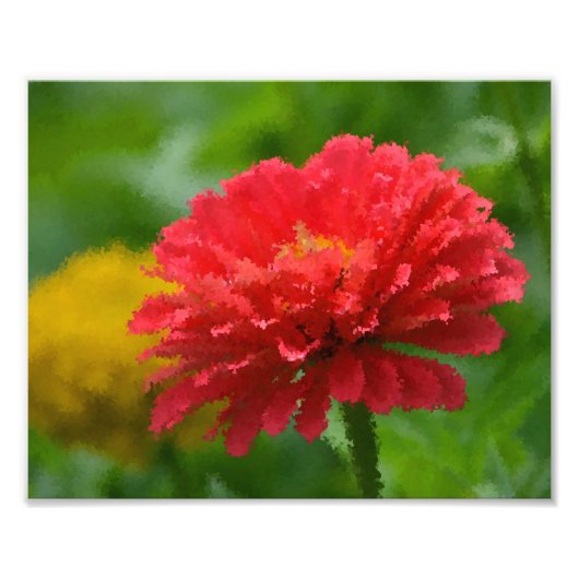 Impressionistisches Zinnia Foto Print (Vorne)