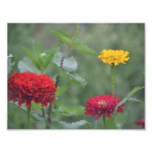 Impressionistisches Zinnias Fotodruck (Vorne)