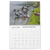 Impressions of Florida 2026 Calendar Kalender (Jan 2027)